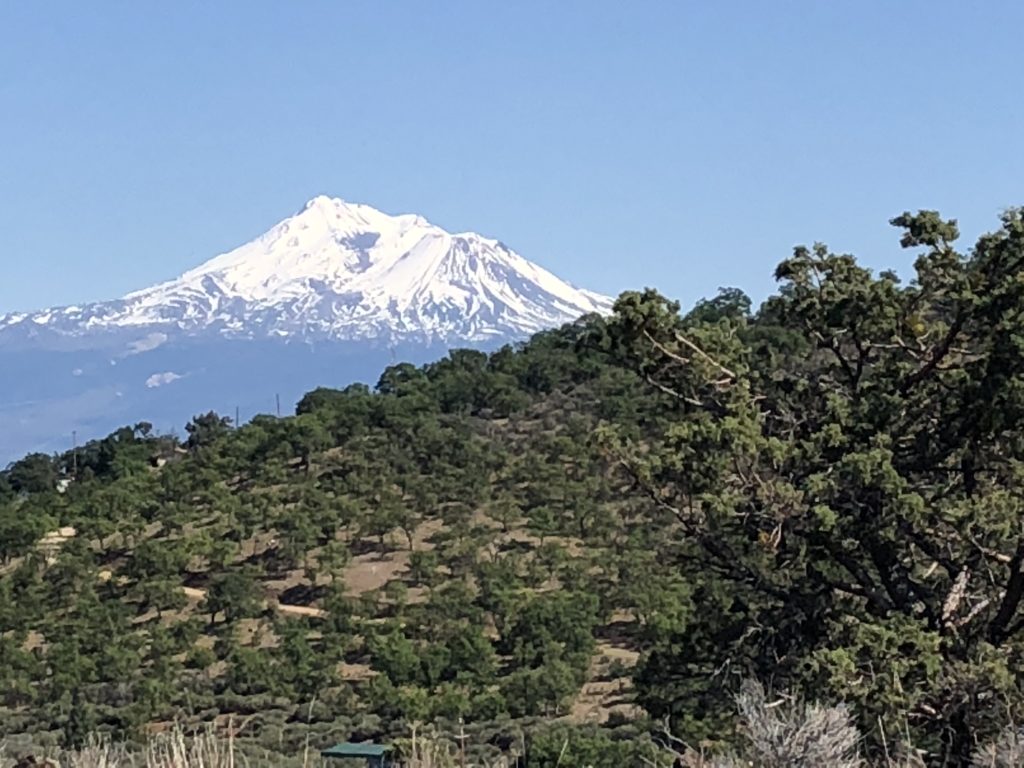 View of Mount Shasta from the Scott Barr Mountains.